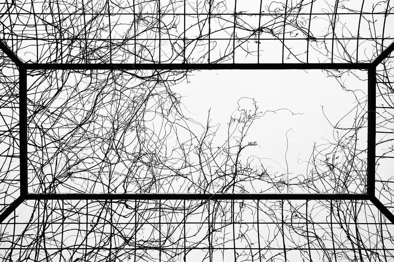 cage