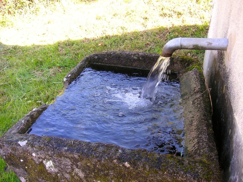 abreuvoir